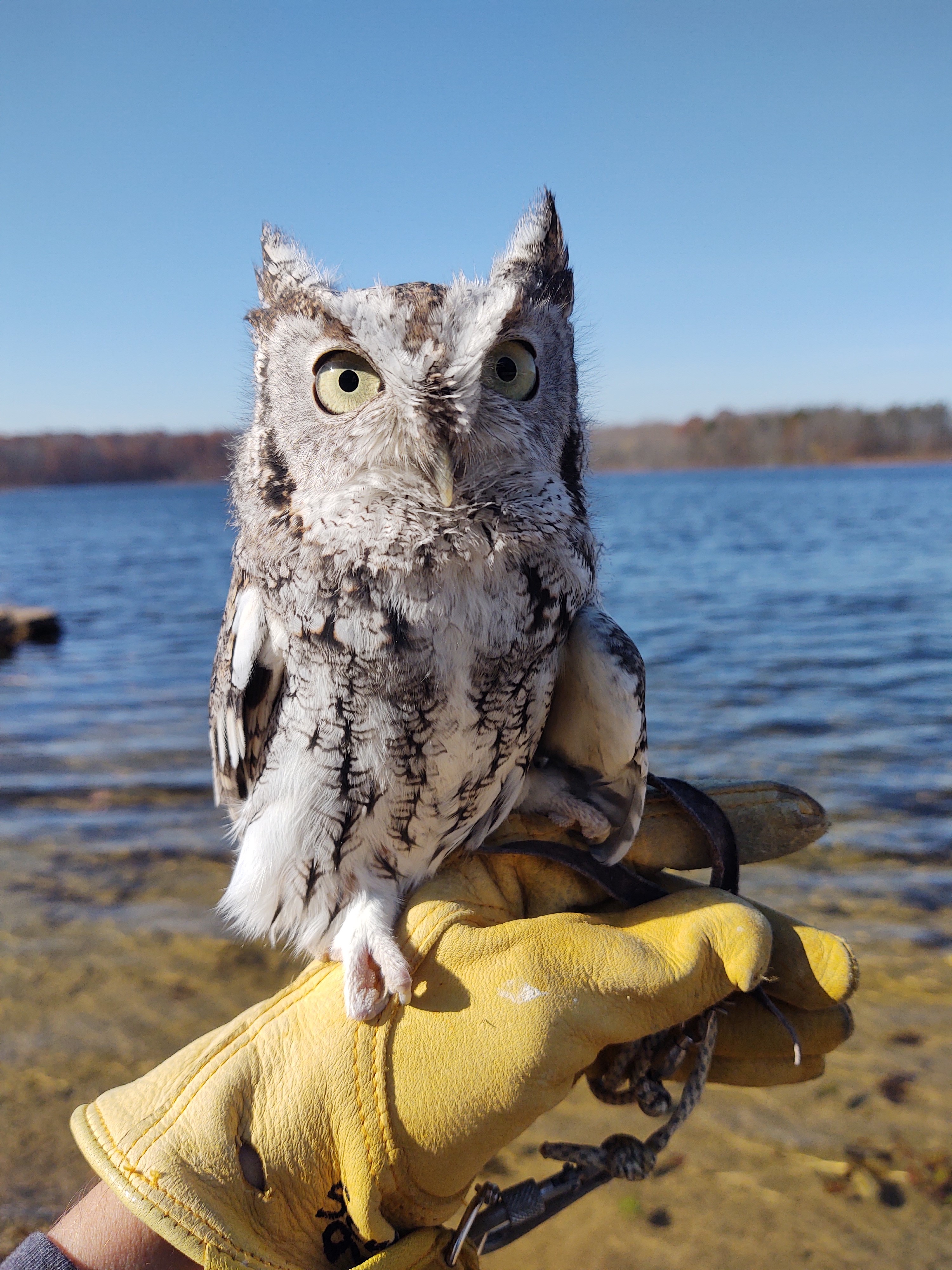 Clear Lake Science Camp